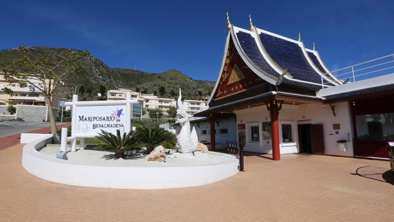 243 águila - Estudio Vista Al Mar Benalmádena