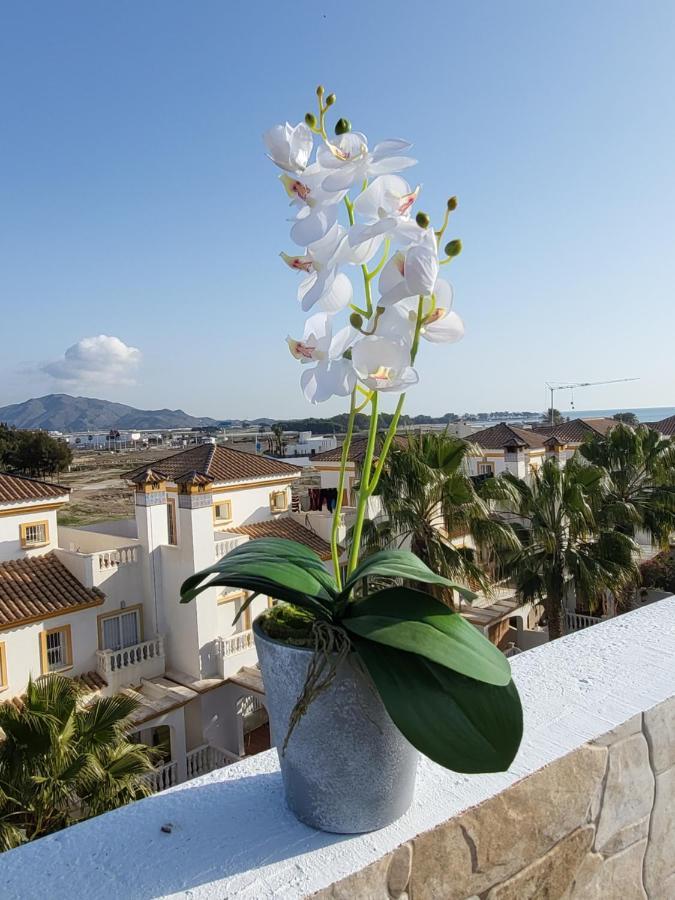 Apartamento ático En Primera Línea Con Piscina Privada! *