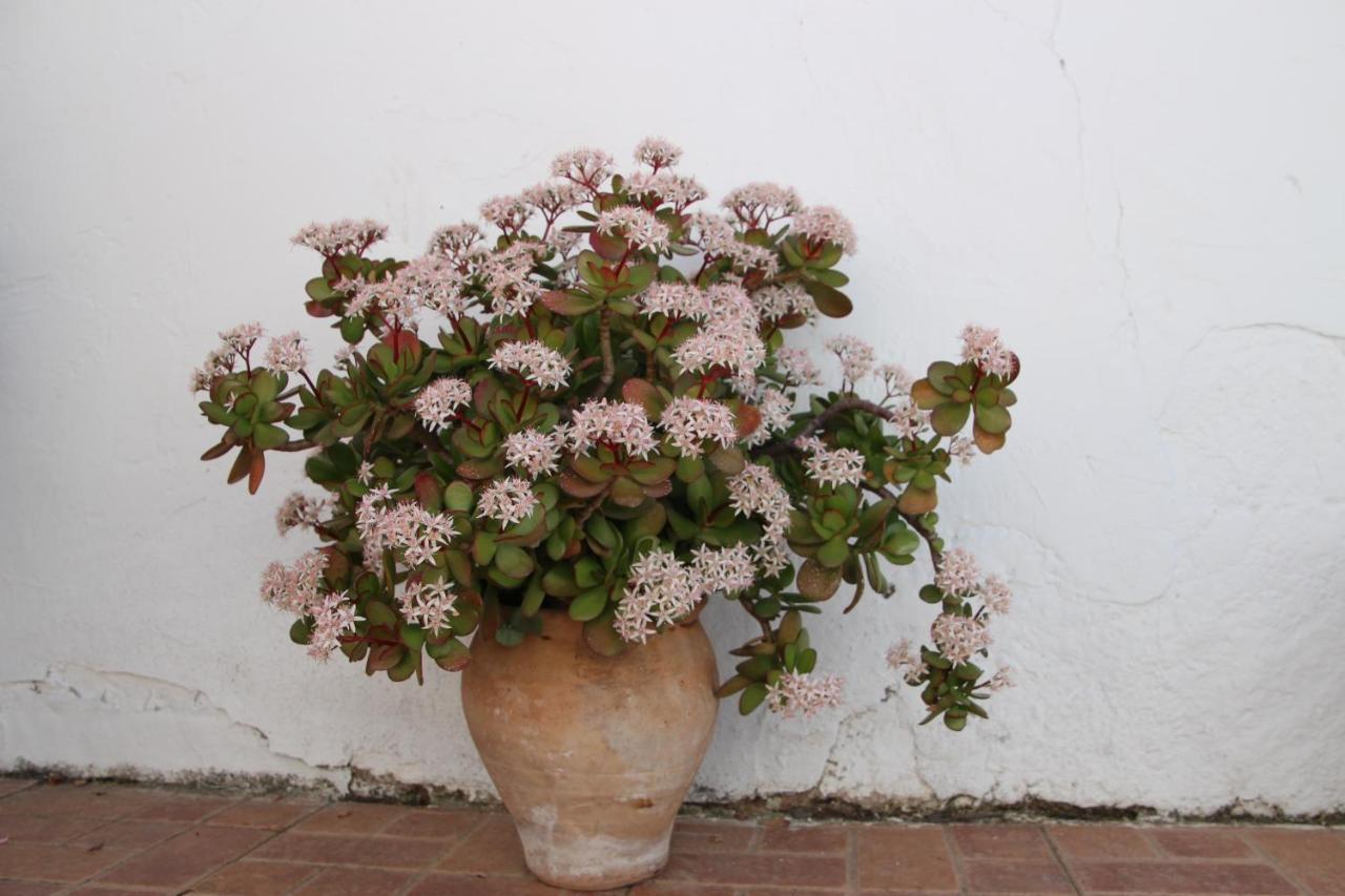 Apartamento El Balcon