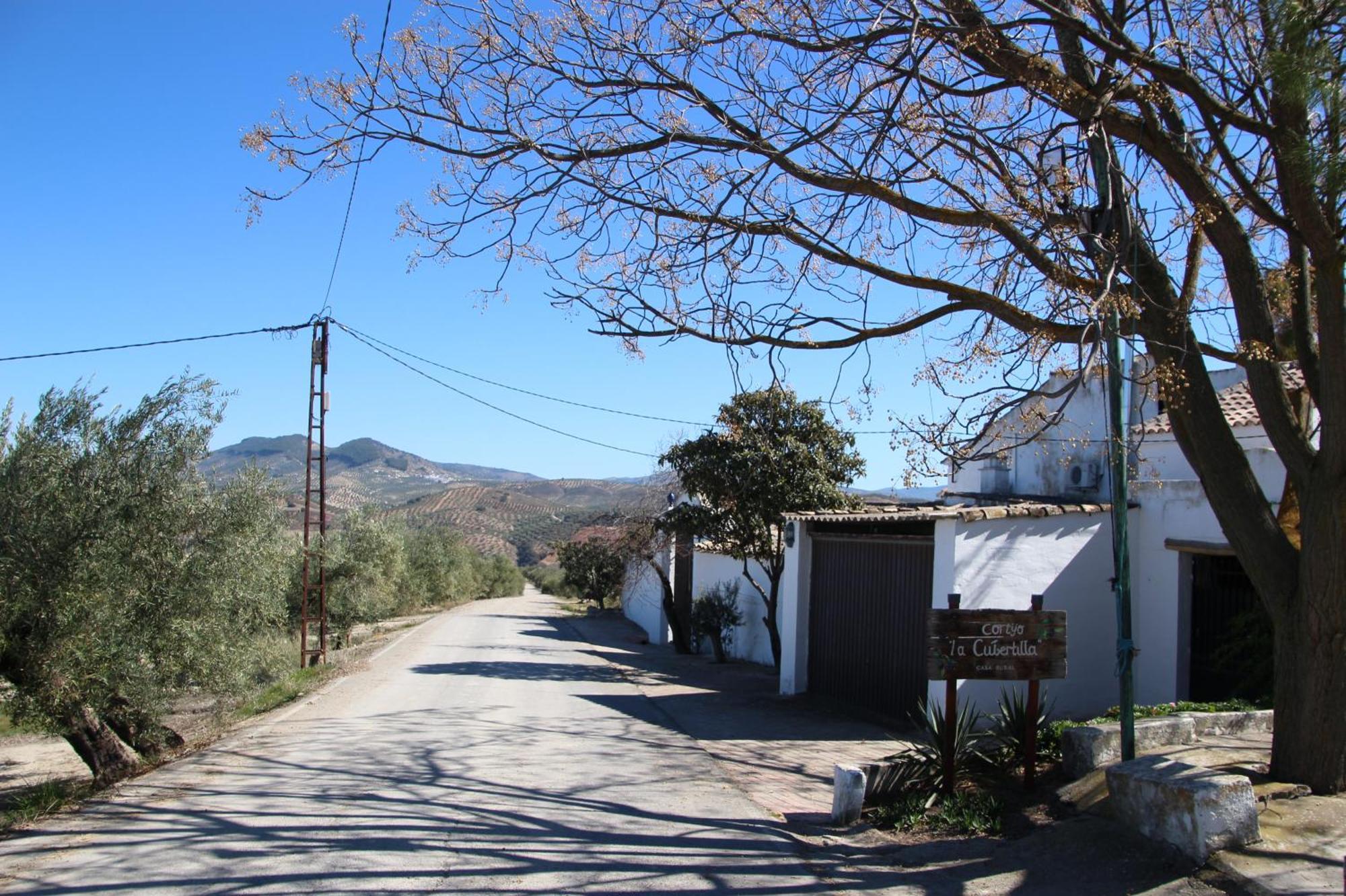 Apartamento El Balcon