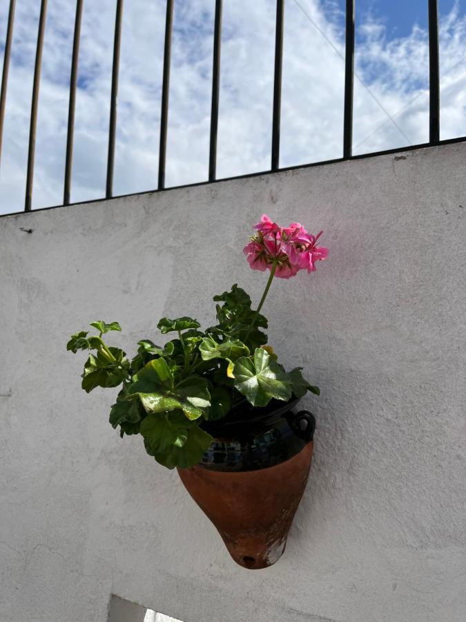 Apartamento Atico Centro 17 Jerez de la Frontera