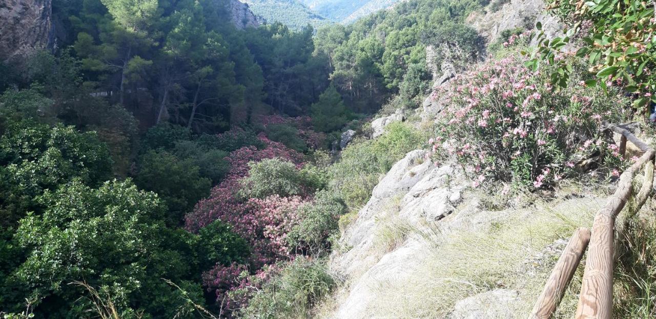 Guest house Rural De Cuadros *