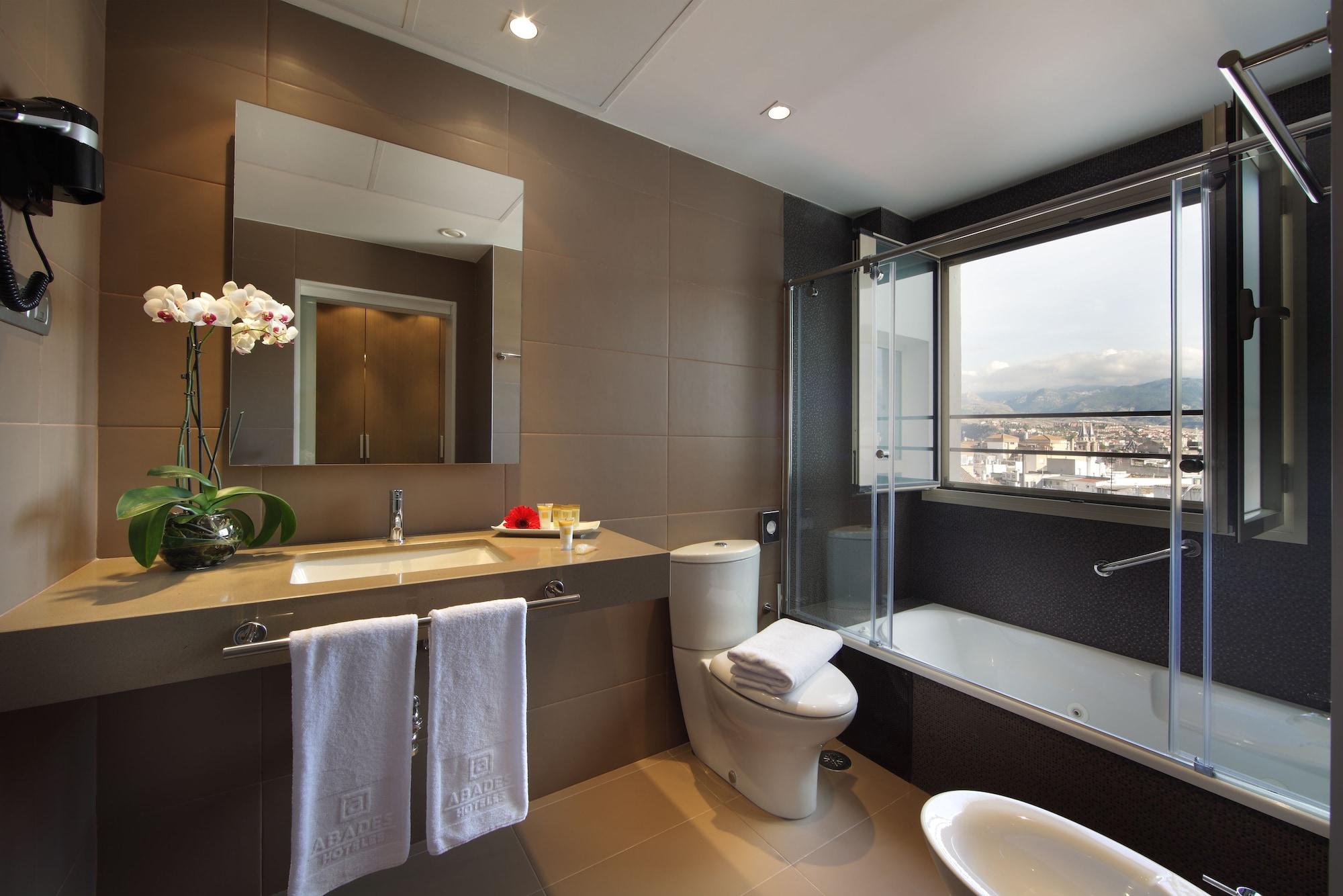 Hotel Abades Recogidas
