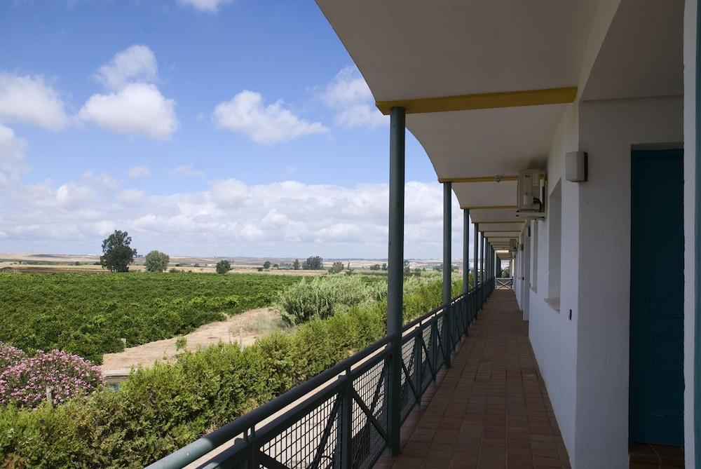 Hotel Jm Jardin De La Reina 3*