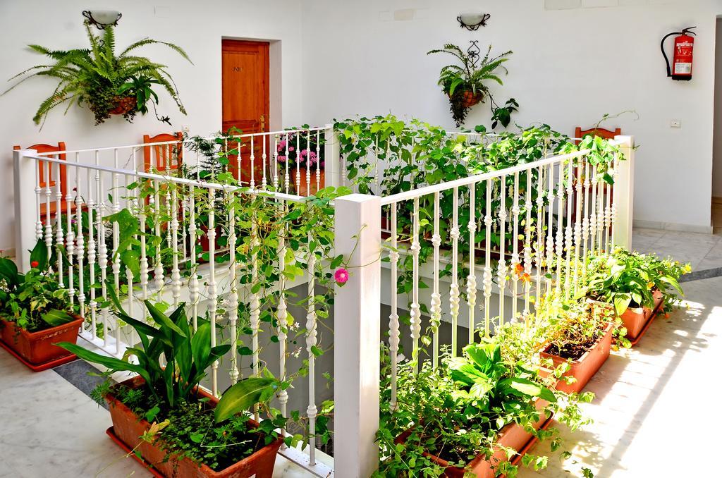 El Arco Conil De La Frontera