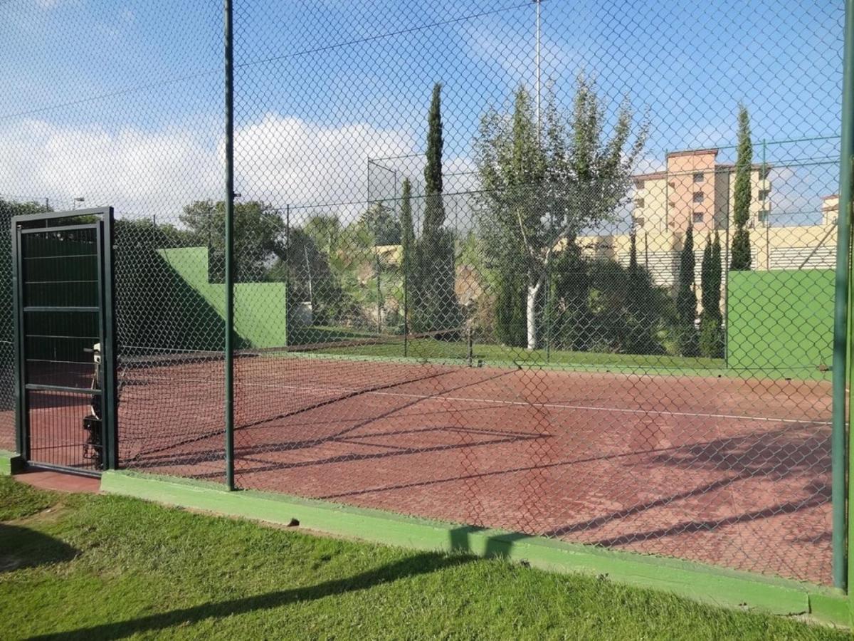 Juncos La Pineda