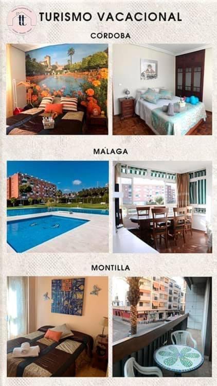 Turismo Vacacional De Lujo Ttluga -málaga