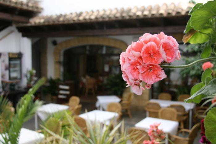 Guest house Torre De Guzman Conil De La Frontera