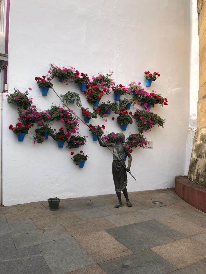 La Regaora Apartamento *