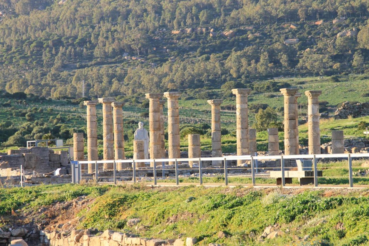 Lentiscal Playa Bolonia