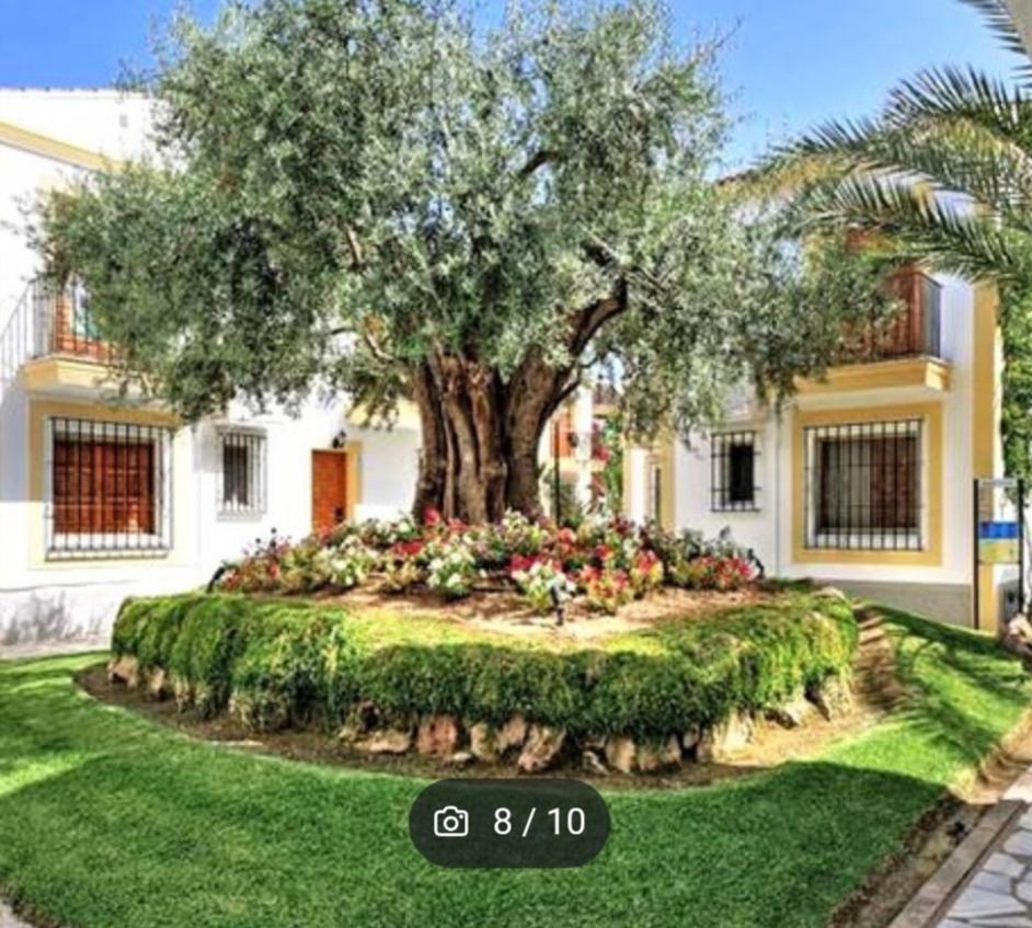 Jardin A 300 Metros De La Playa Apartment