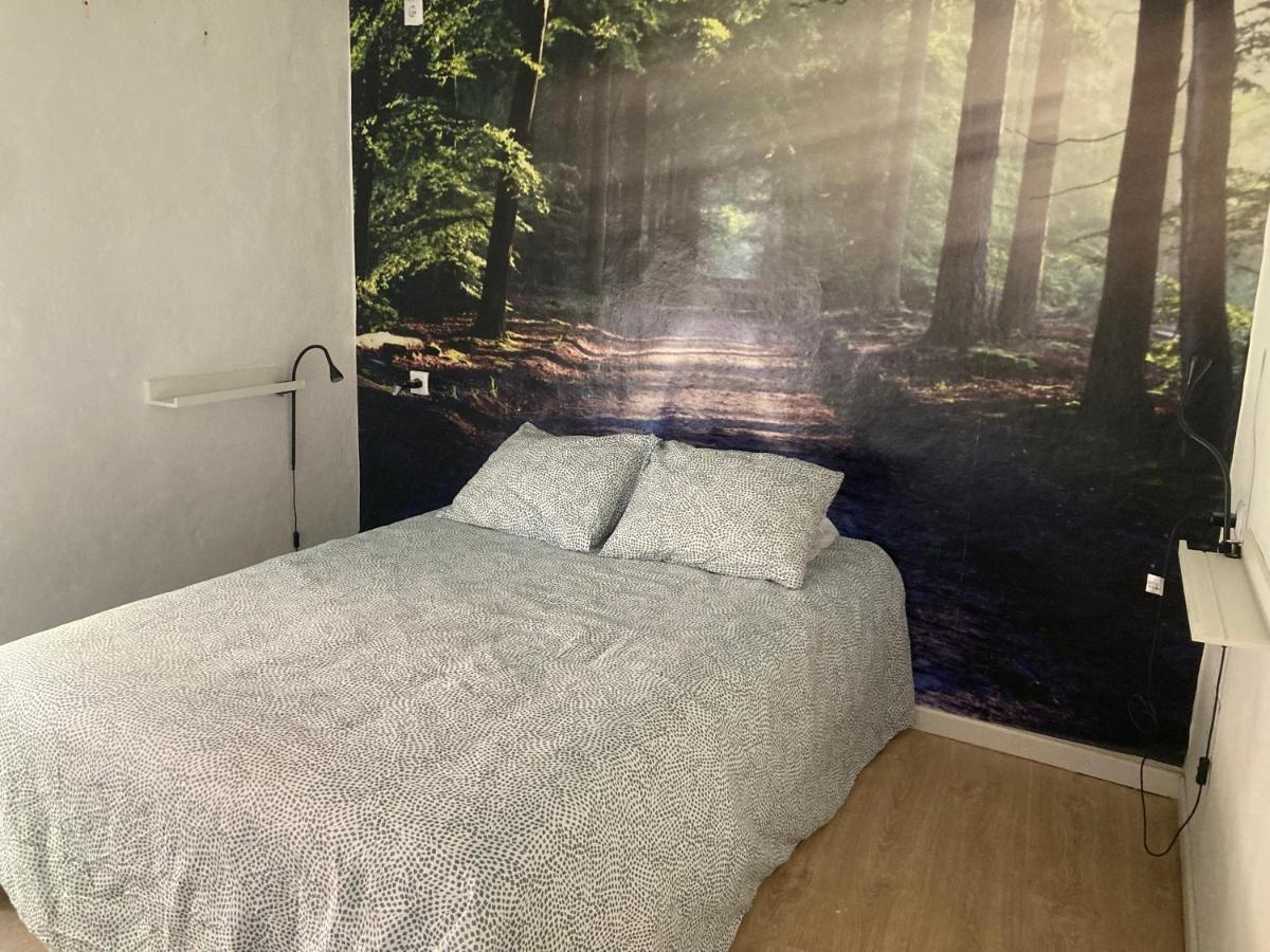 Bed & Breakfast Backpackers La Gaditana *
