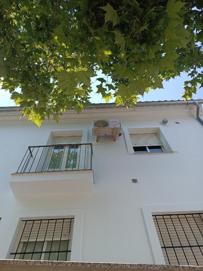 Apartment Casa Curro