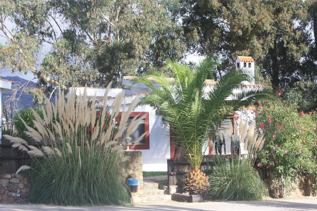 Apartamento Molino El Mastral