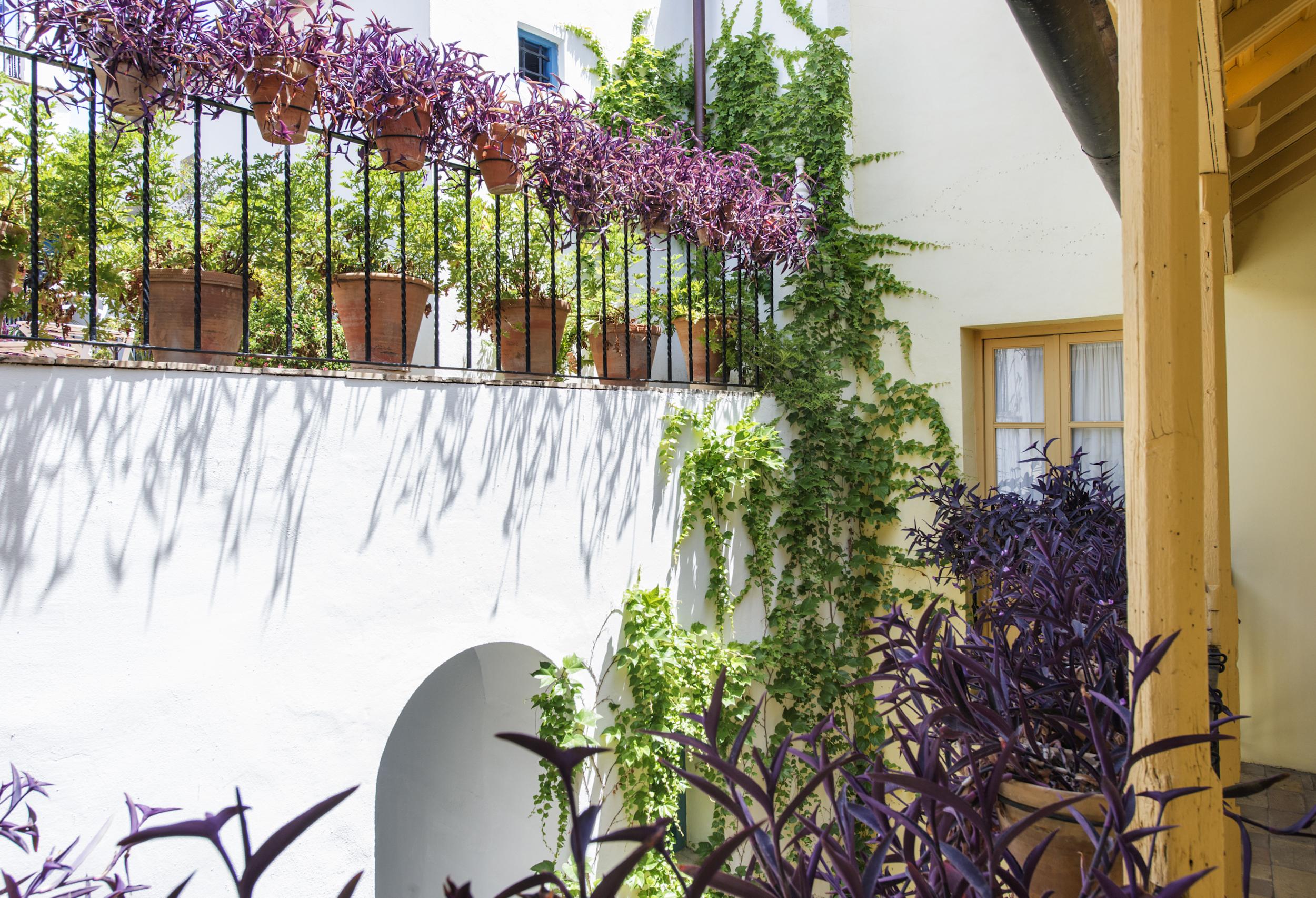 Casas De La Juderia Hotel Seville