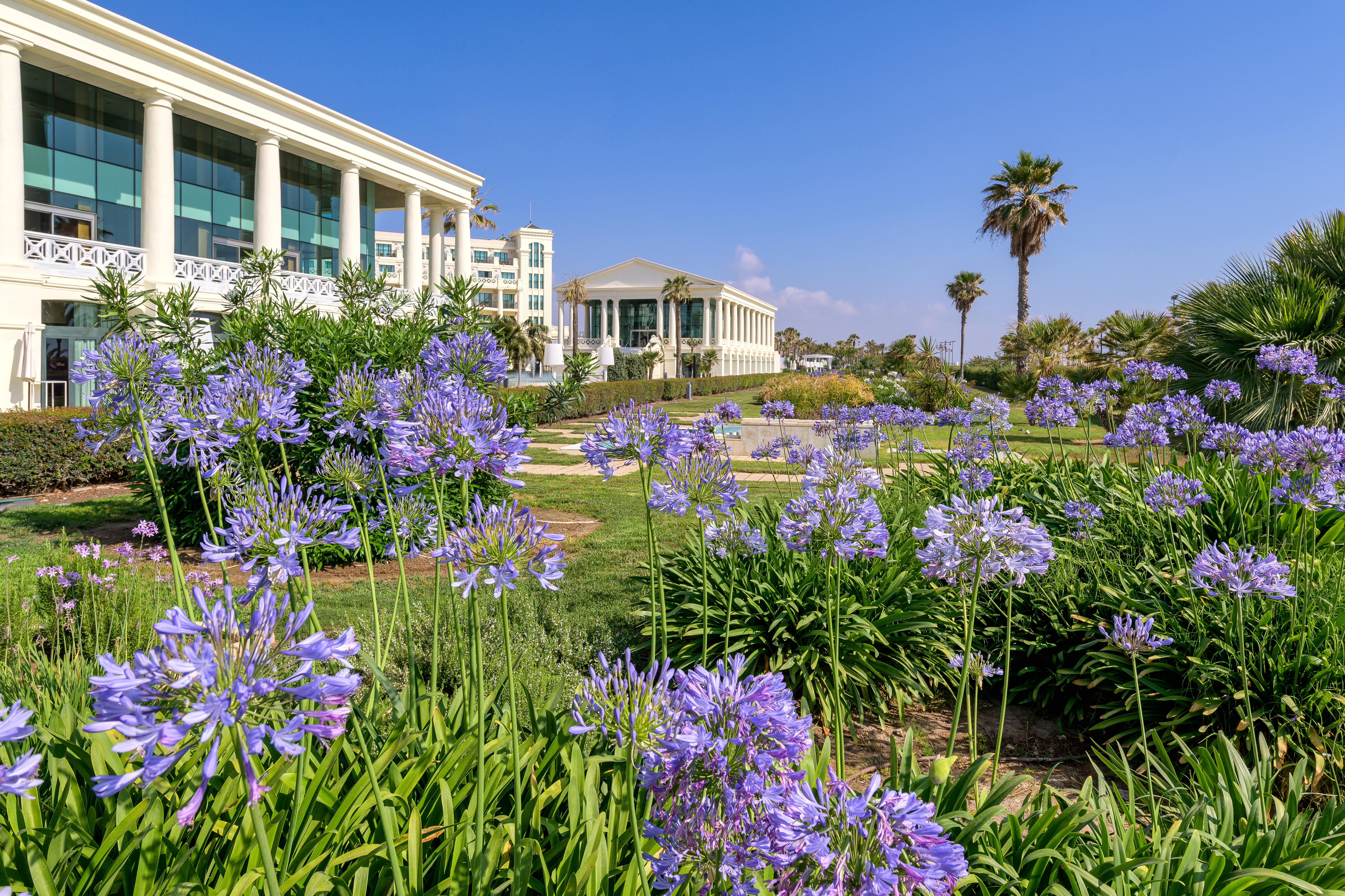 Hotel Arenas Balneario 5*