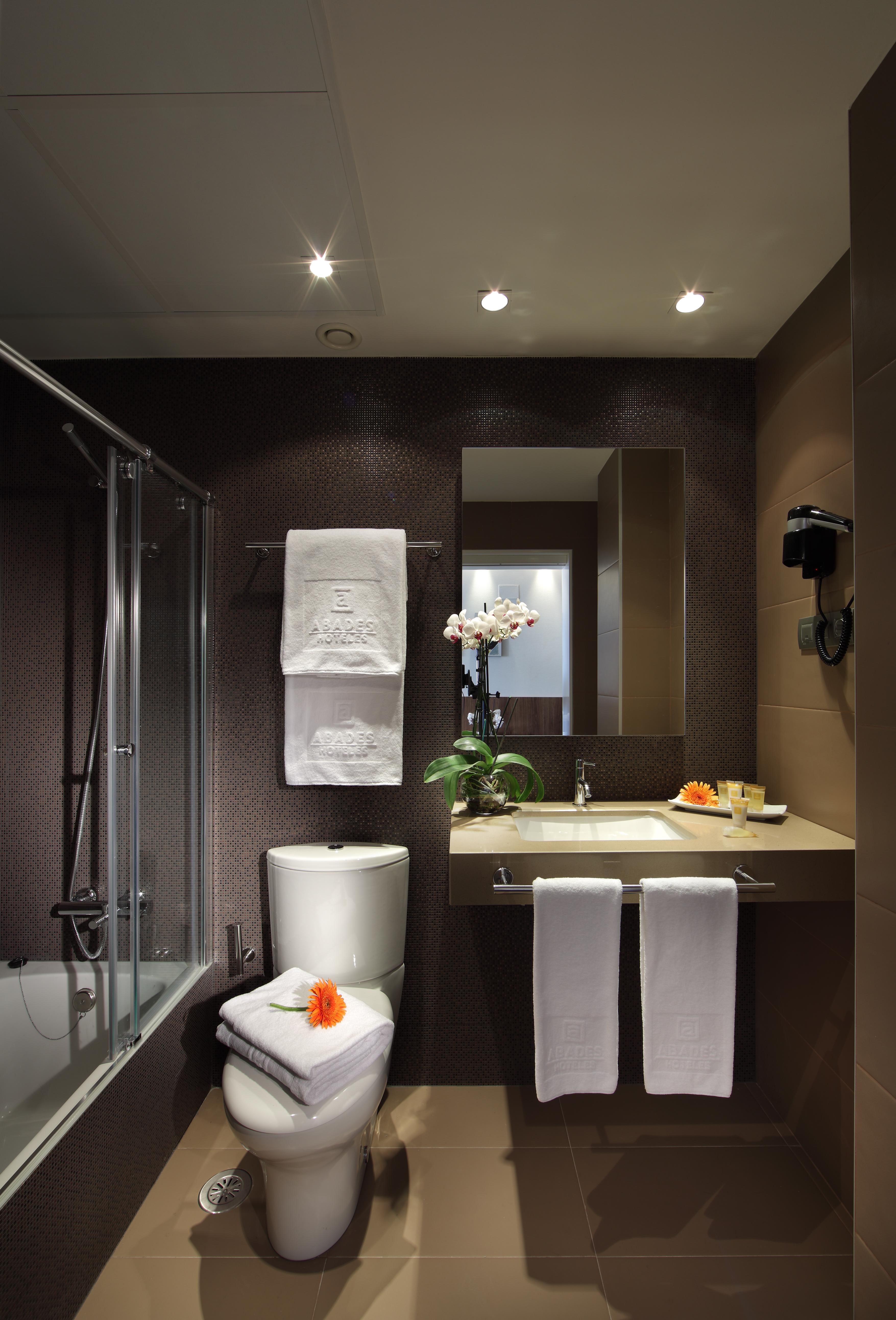 Hotel Abades Recogidas 4*