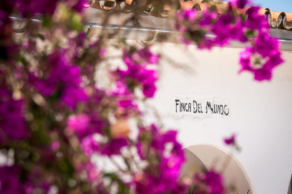 Finca Del Mundo Boutique B&B * Alhaurin el Grande