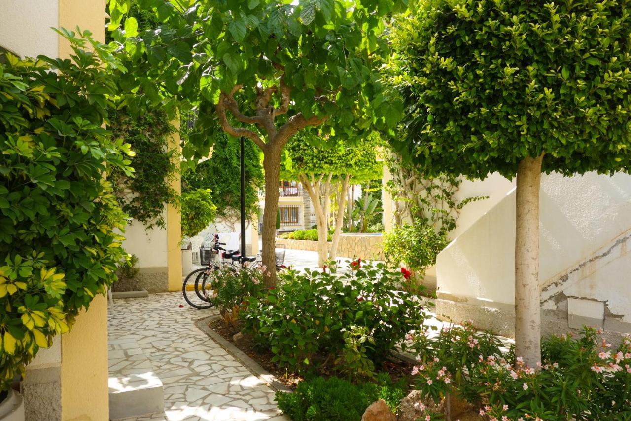 Oasis Apartment *