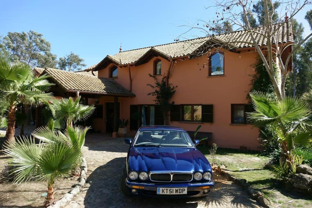 Exotic Tropical W/ Large Pool In Sotogrande! San Roque (Andalucia)