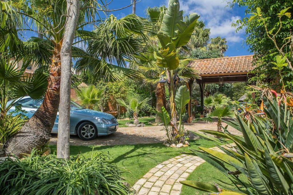 Exotic Tropical W/ Large Pool In Sotogrande! San Roque (Andalucia)