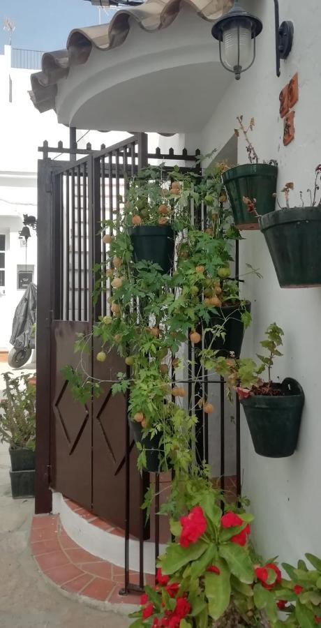 El Acanto Apartment Vejer de la Frontera