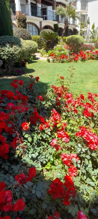 Andalusialaistyyppinen, 3 Makuuhuoneen Asunto Casa Zarina, Puebla Aida, Mijas *