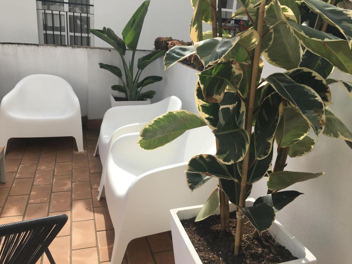 Loft Xerez Centro