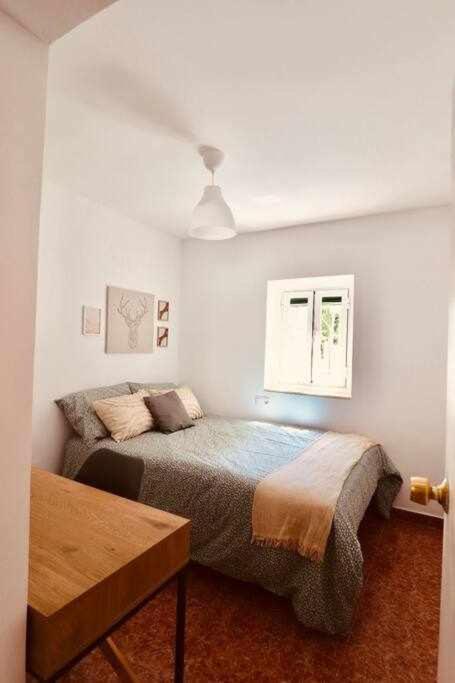Fantastico En Apartment