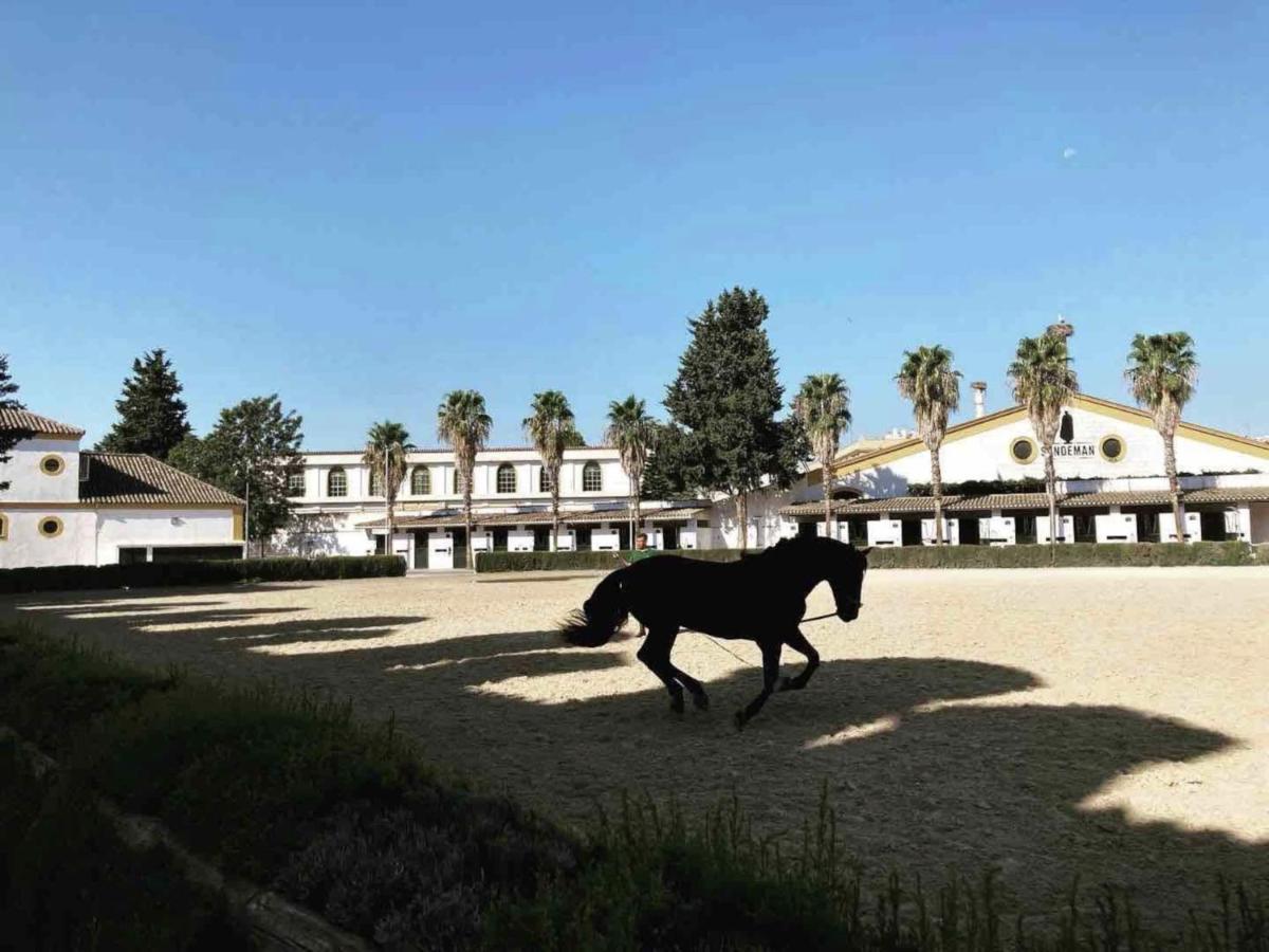 Casa Castilla Jerez - Private Terrace - Wifi - Free Parking