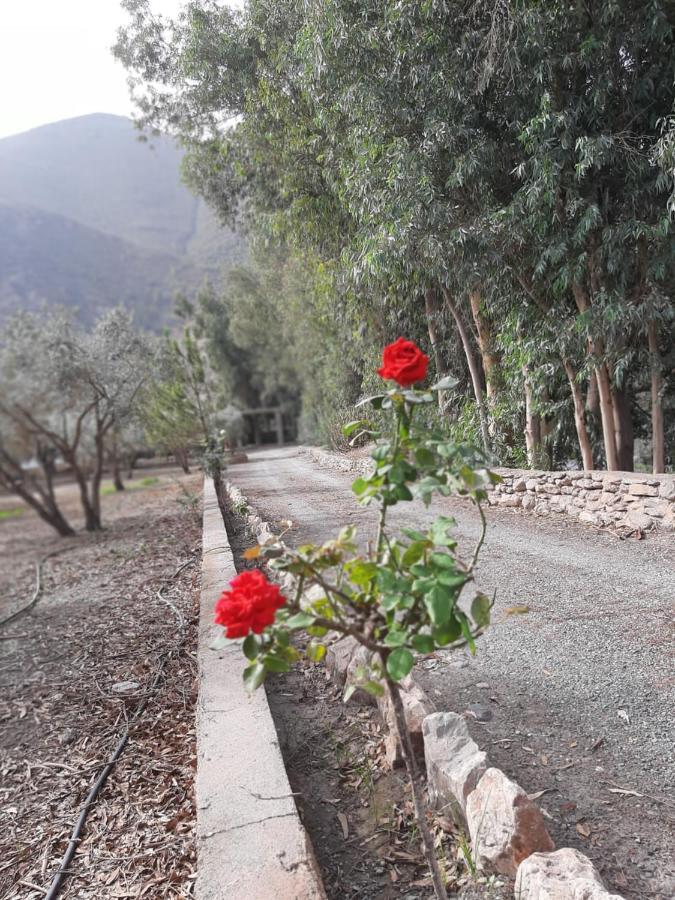 Cortijo De La Arena Fina Holiday home