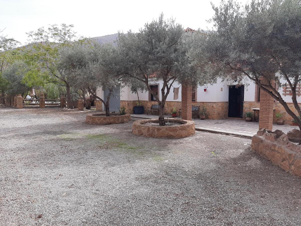 Cortijo De La Arena Fina Holiday home *