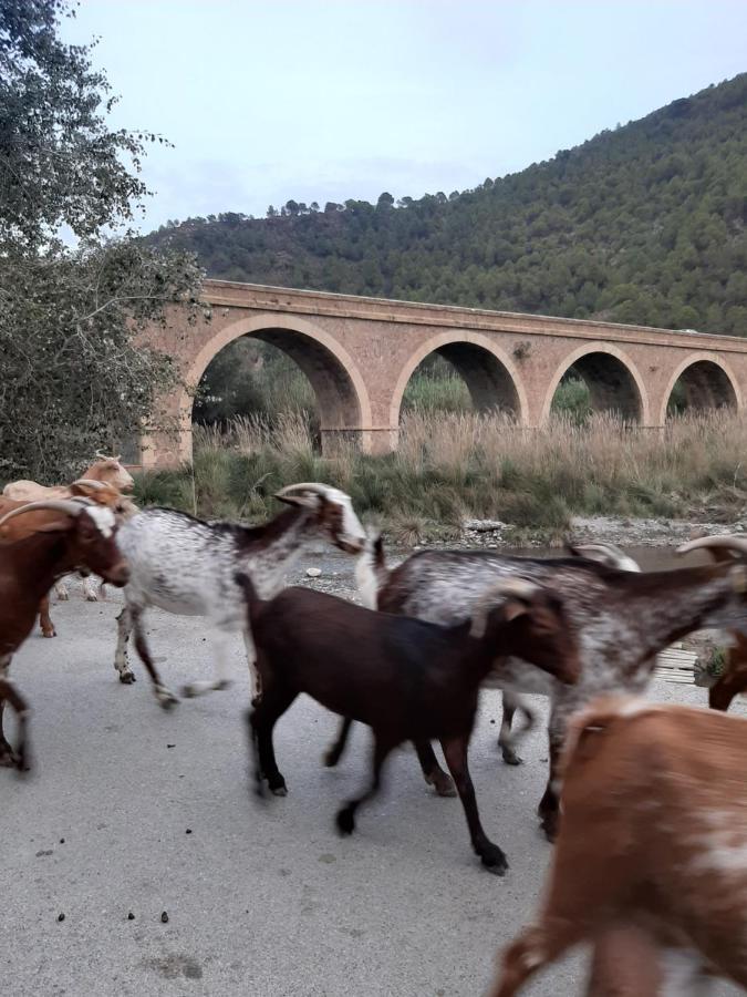 Cortijo De La Arena Fina Holiday home Orgiva