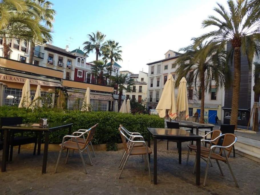 Botanico: Maximo Confort, Diseno E Increibles Vistas. Apartment