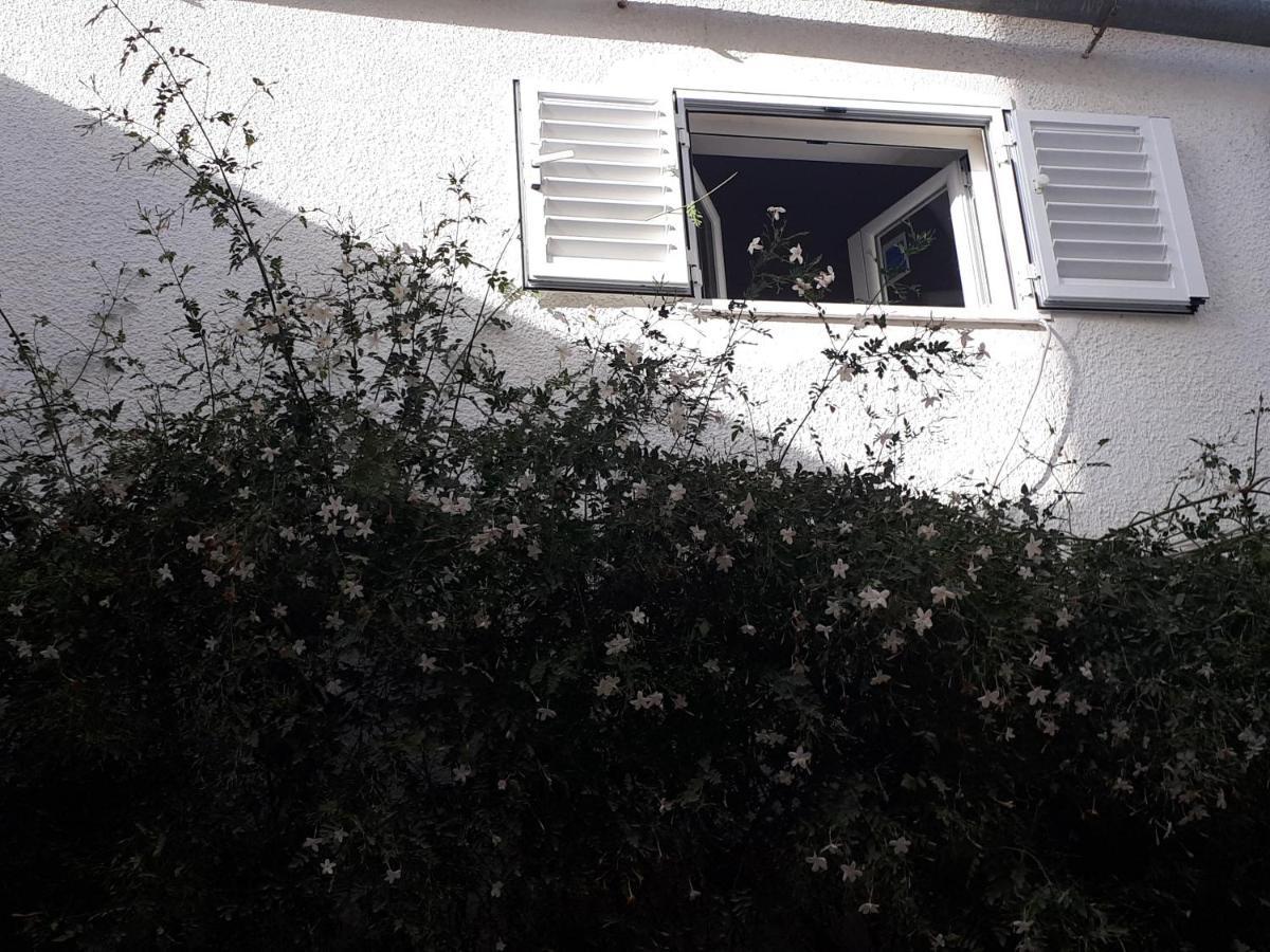 The Jasmine House *