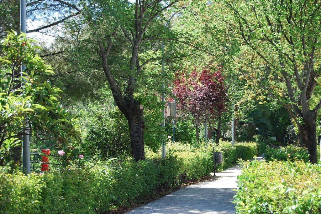 Apartamento Casa Canava *