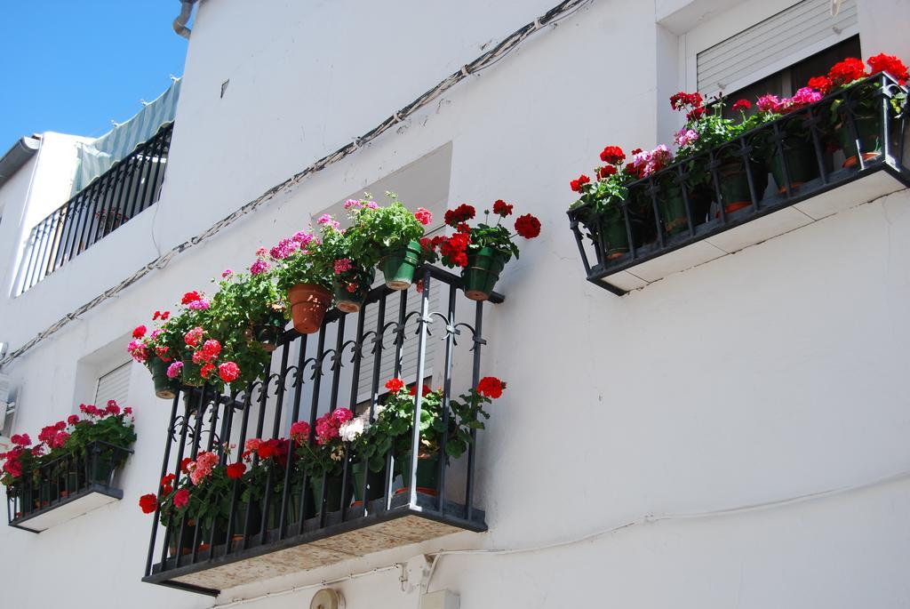 Apartamento Casa Canava Jimena