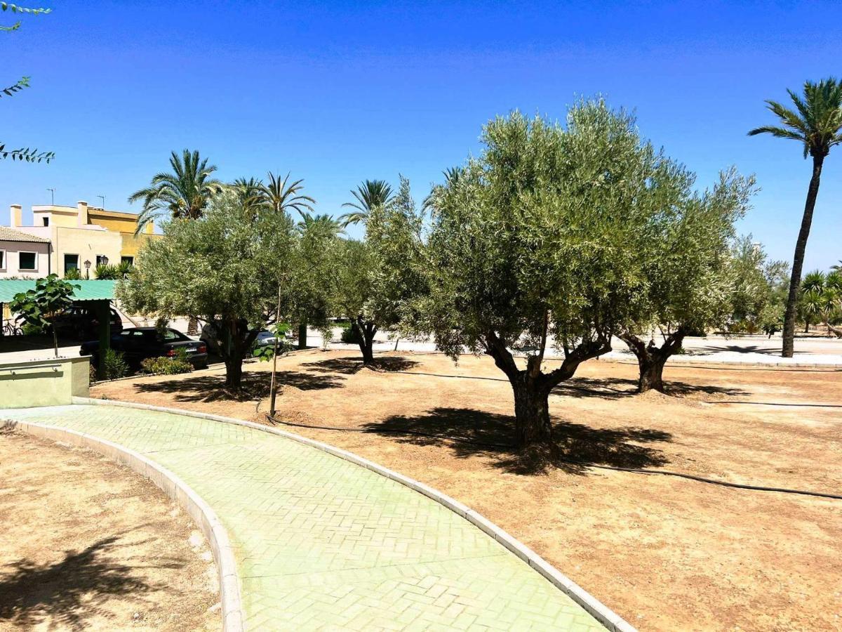 Rurales Arroyovil 23 Ideal Familias * Mancha Real