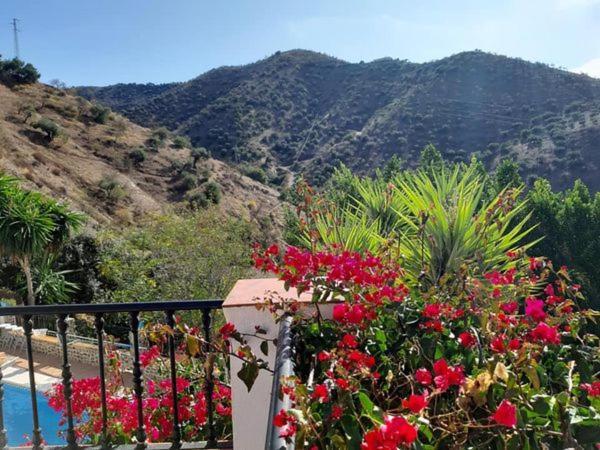 Bed & Breakfast Rincon Del Mundo Alora