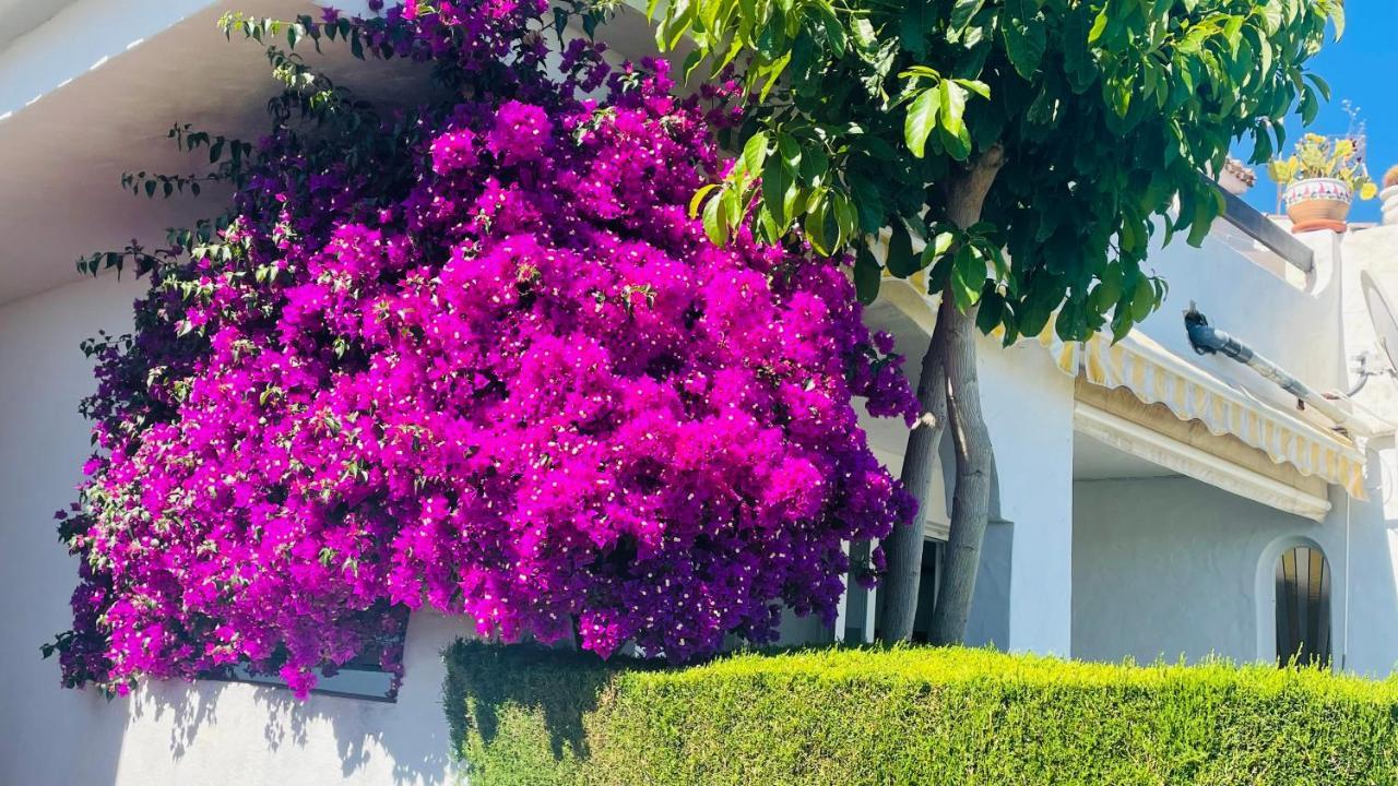 Modern Garden With A Fantastic Sea View And A Private Garden * Sitio de Calahonda