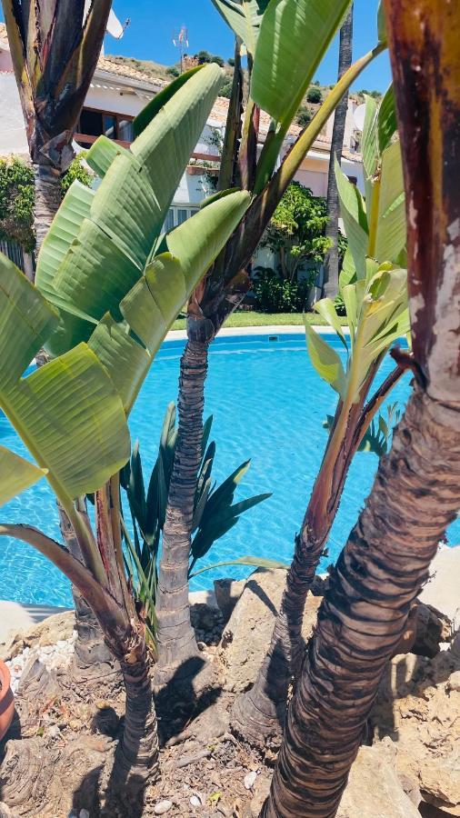 Modern Garden With A Fantastic Sea View And A Private Garden