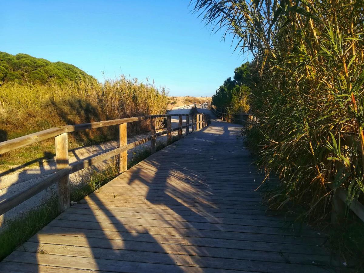 Deluxe Urbanización Privada En Playa Con Piscina, Totalmente Equipado Сasa de vacaciones *