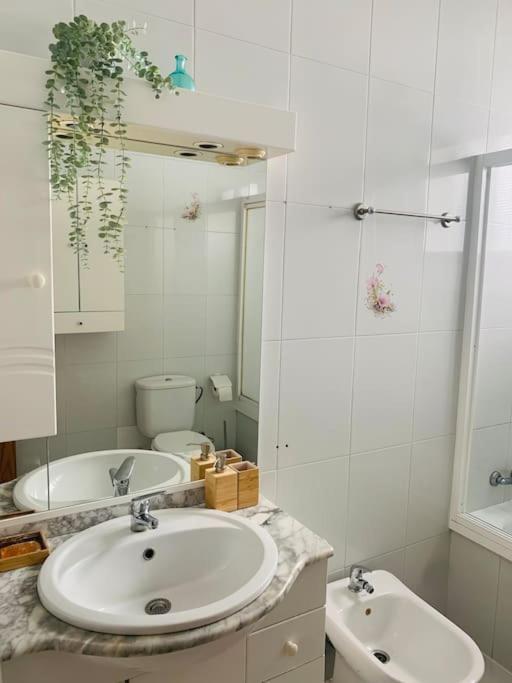 Apartamento Piso Coqueto Centrico En Jerez