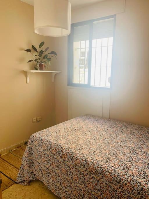 Apartamento Piso Coqueto Centrico En Jerez *