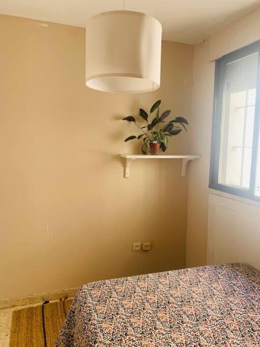 Apartamento Piso Coqueto Centrico En Jerez