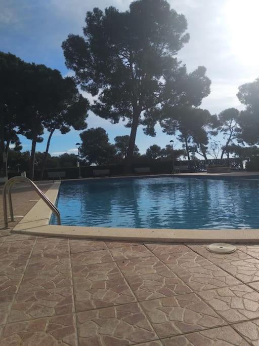 Apartment Cala Dorada *