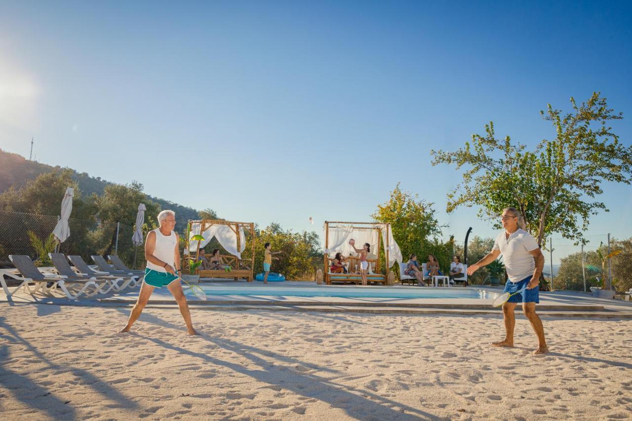 La Perdiz De Molinca Holiday home *
