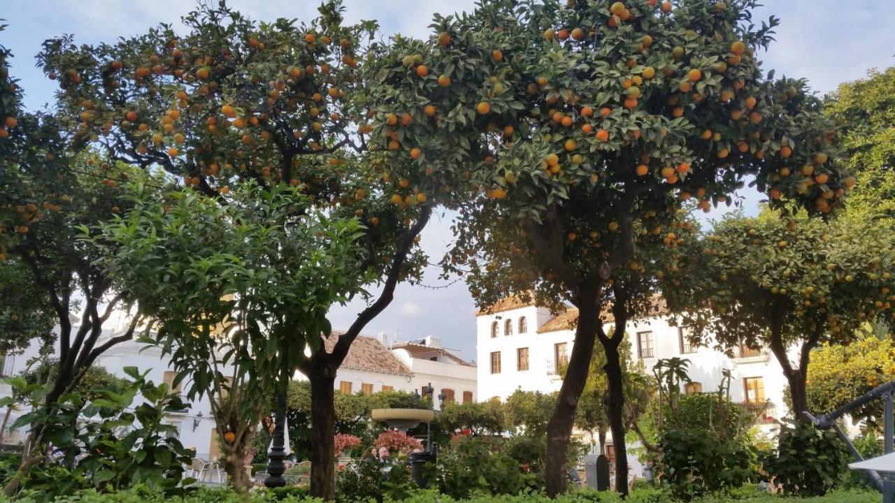 2147-beautiful 2 Bedrooms With Sea View Apartamento Manilva