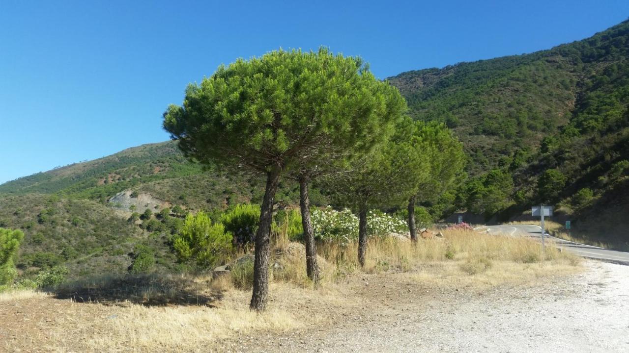 2147-beautiful 2 Bedrooms With Sea View * Manilva