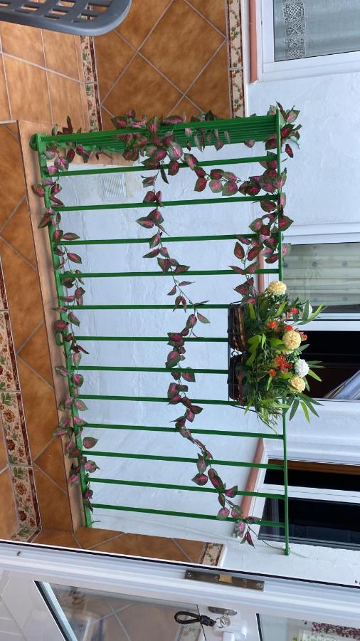 Apartamento Rural Apartment Prado Del Rey